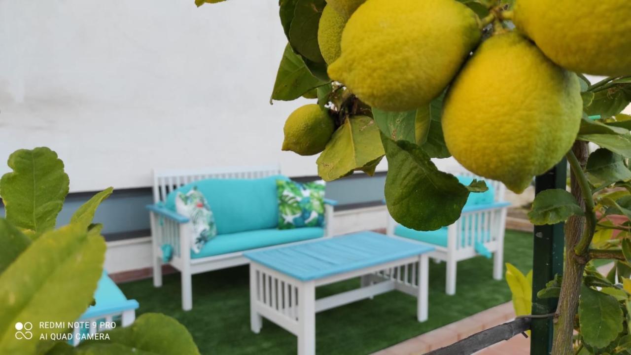 Medimare Residence Club 파티 외부 사진